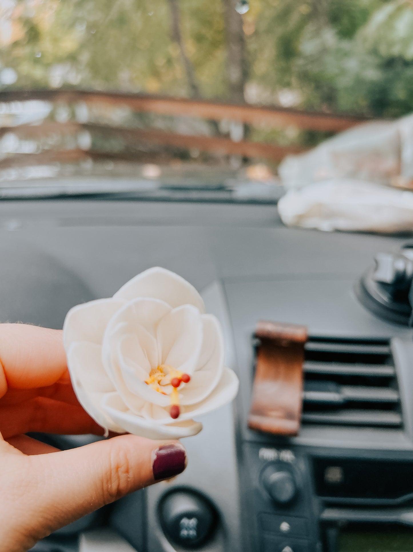 forever flower car diffuser