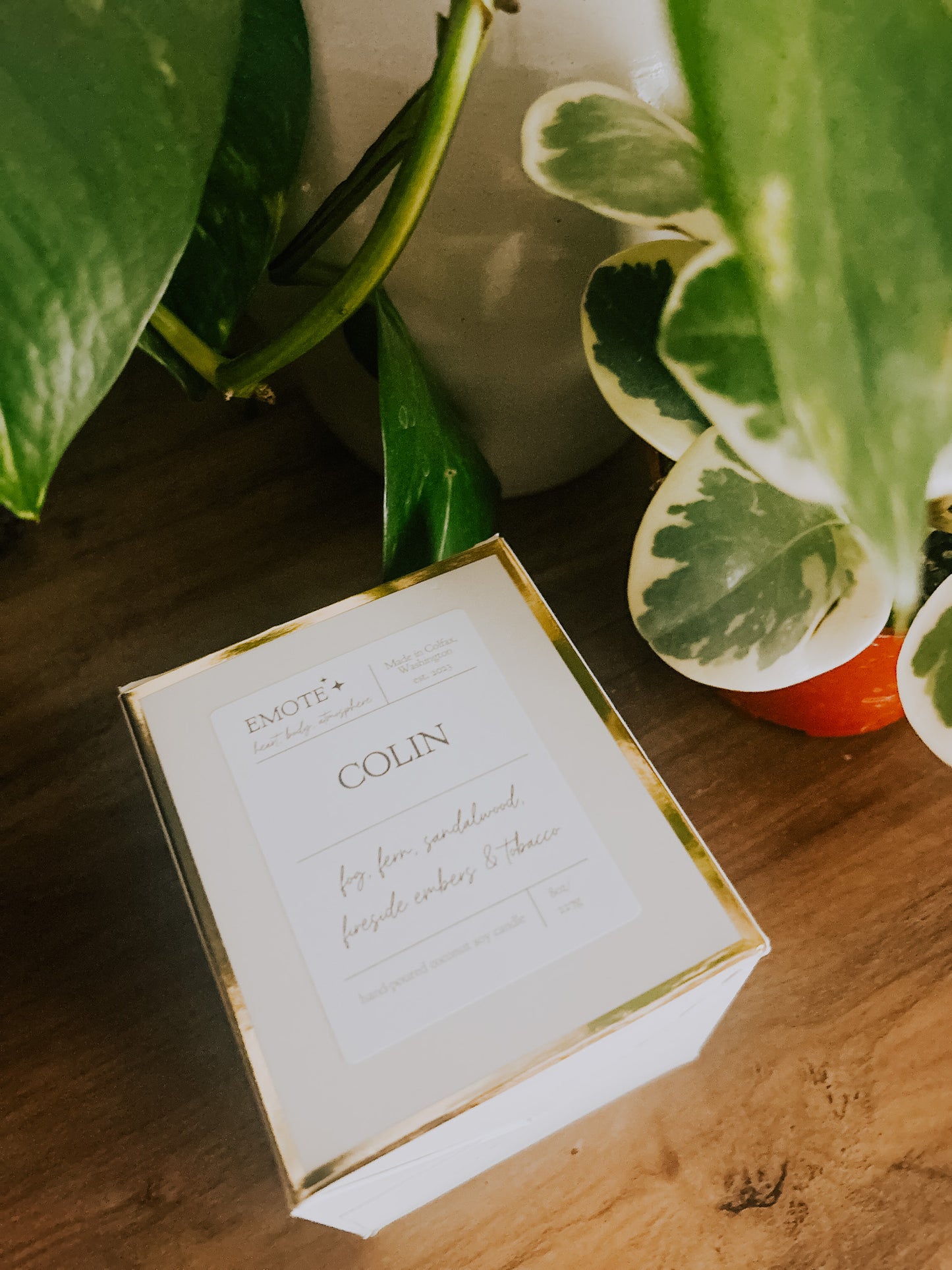 colin 8 oz soy candle
