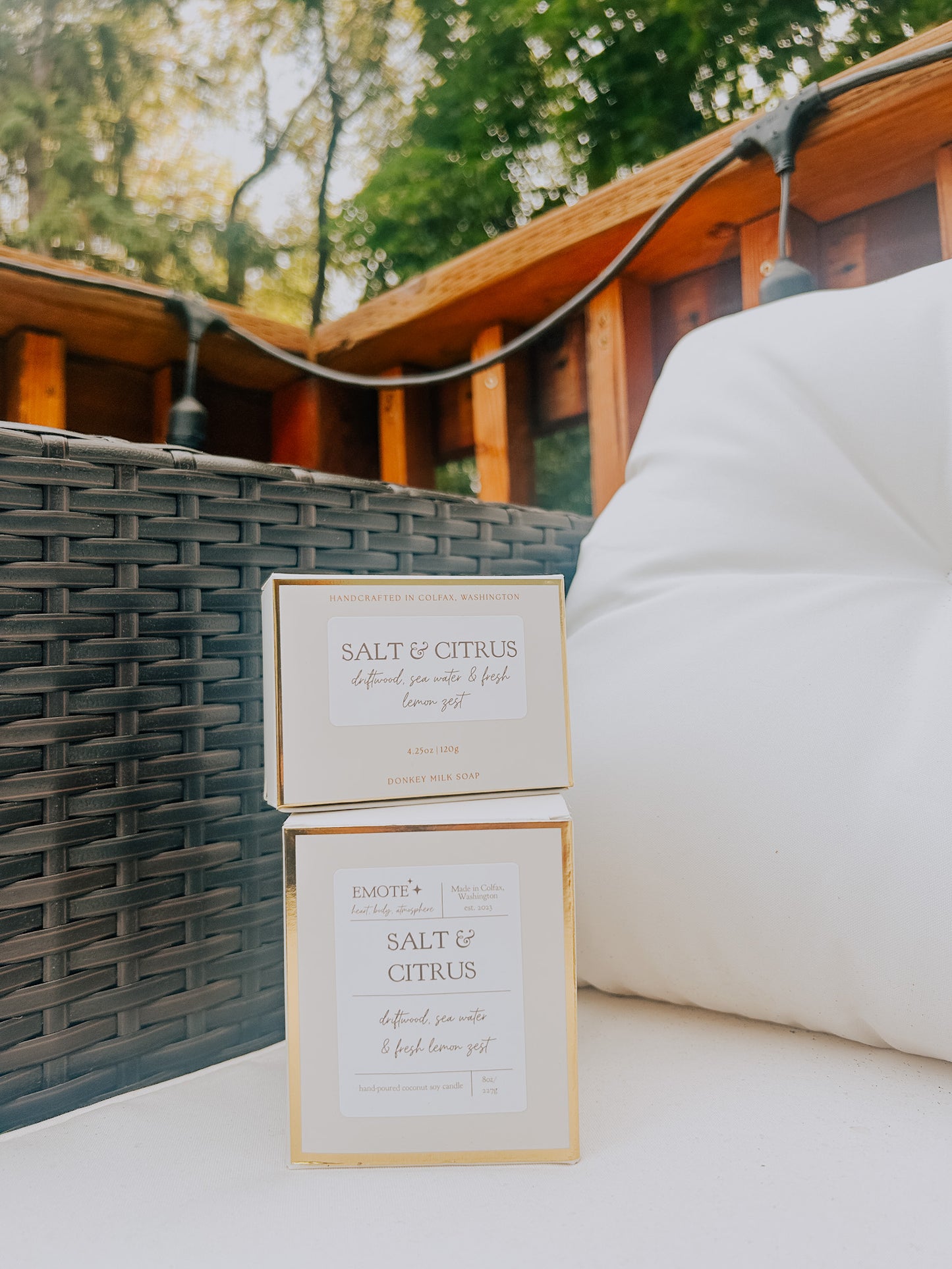 salt & citrus 8 oz soy candle
