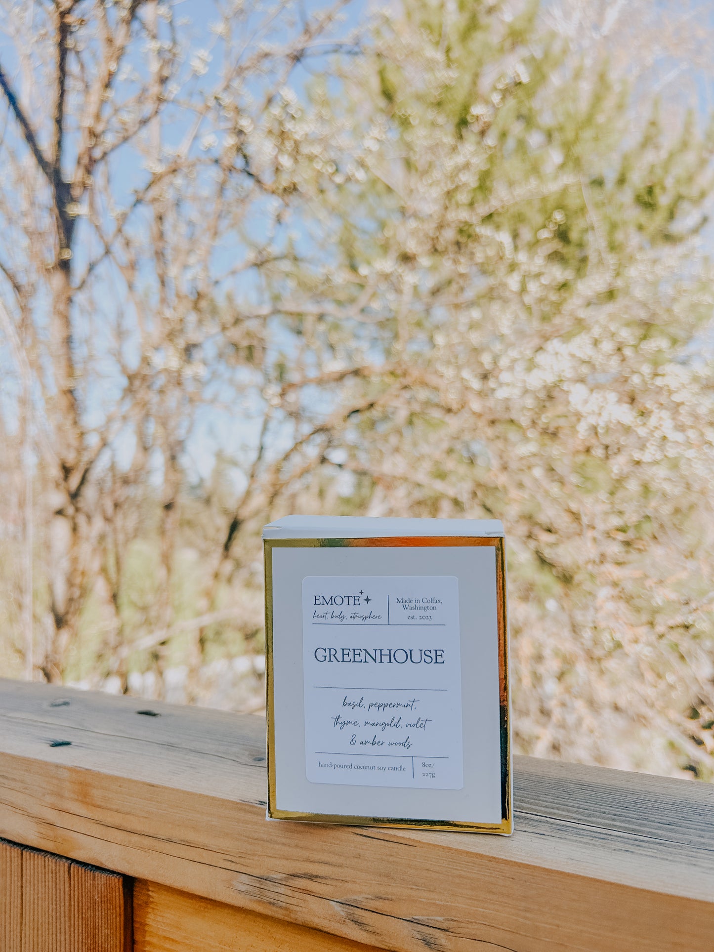 greenhouse 8 oz soy candle