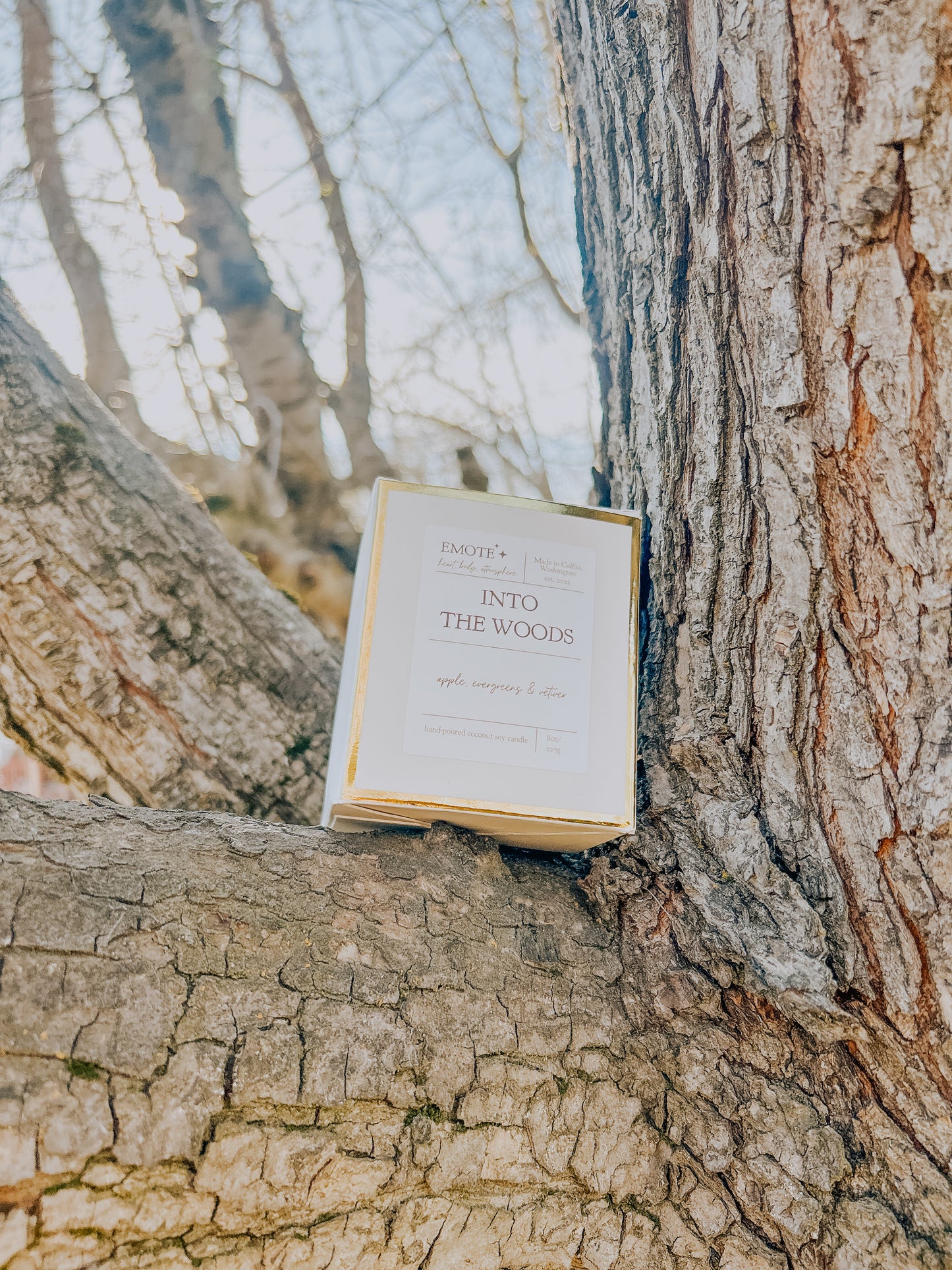 into the woods 8 oz soy candle