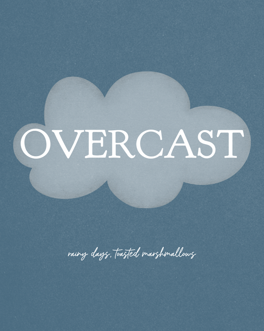 overcast donkey milk soap