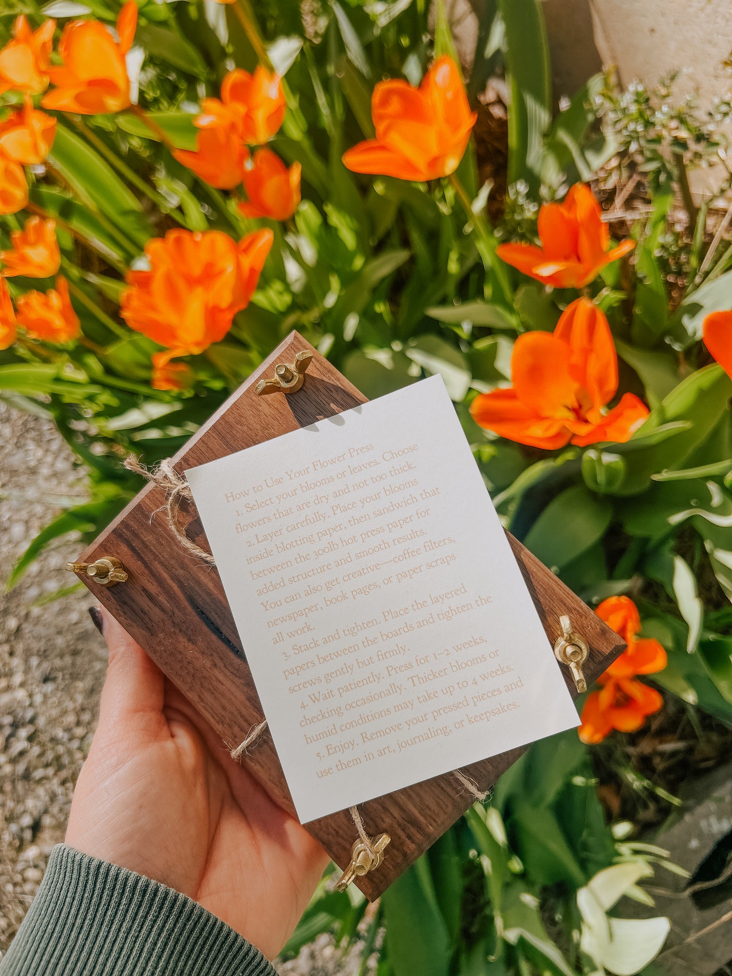 wooden flower press