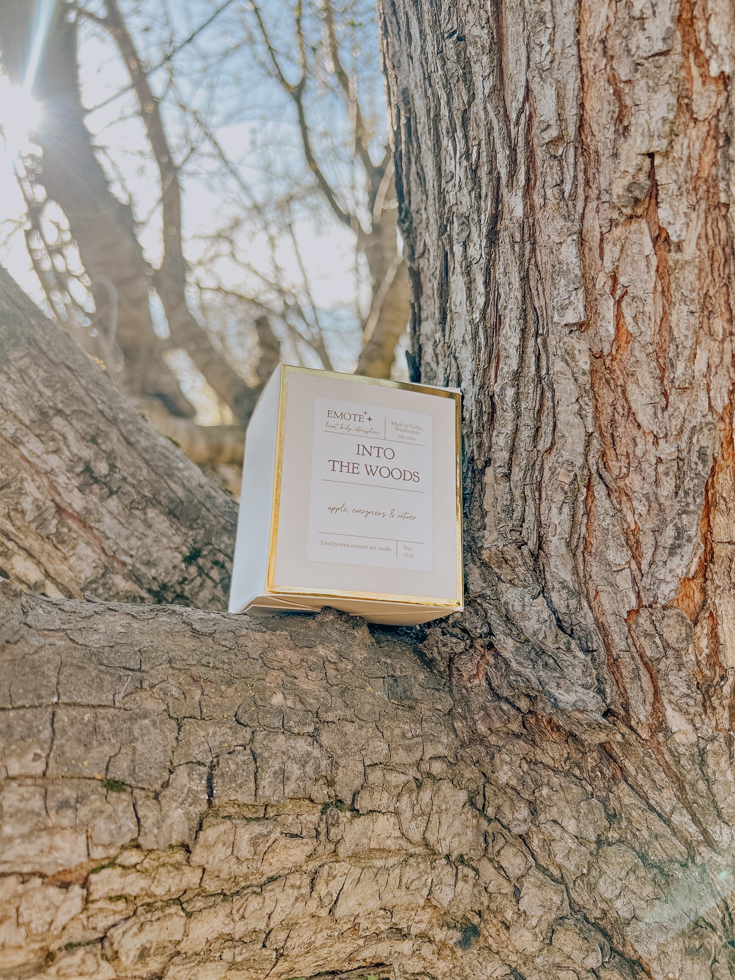 into the woods 8 oz soy candle