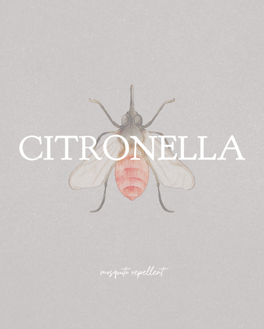 5 oz Citronella Candle